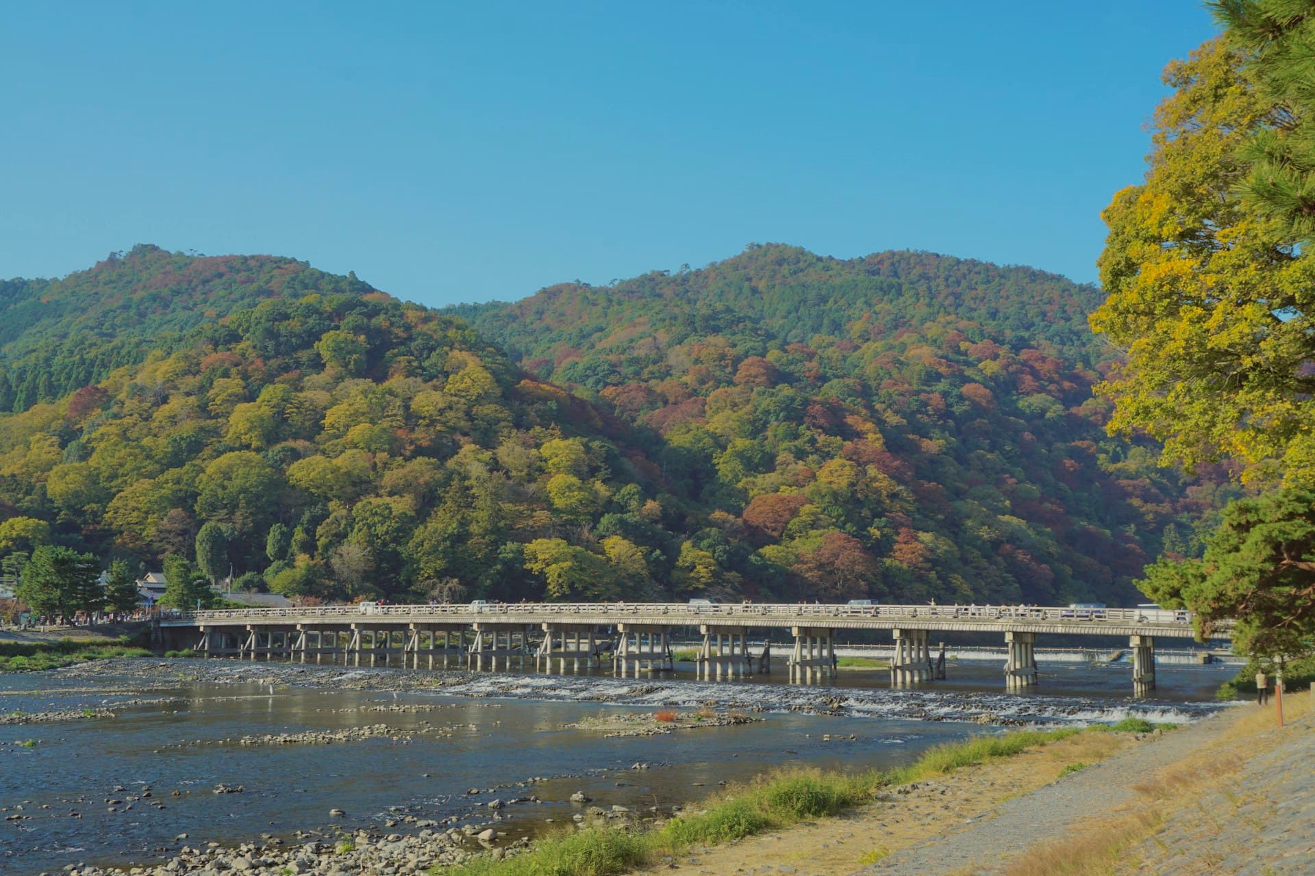 紅葉の山々を背に桂川に架かる嵐山の渡月橋 (※イメージ写真)